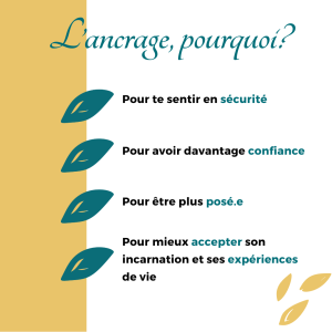 sécurité, confiance, acceptation