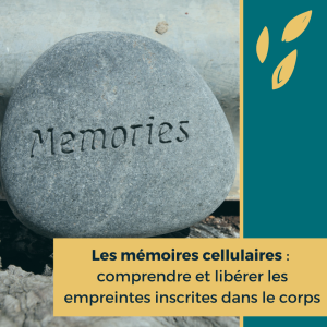 accompagnement, guidance, mentorat